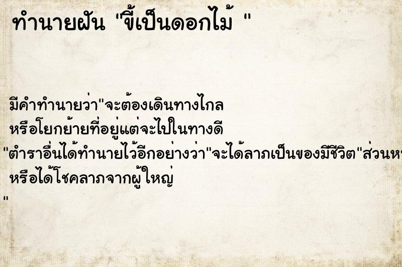 ทำนายฝัน ขี้เป็นดอกไม้ 